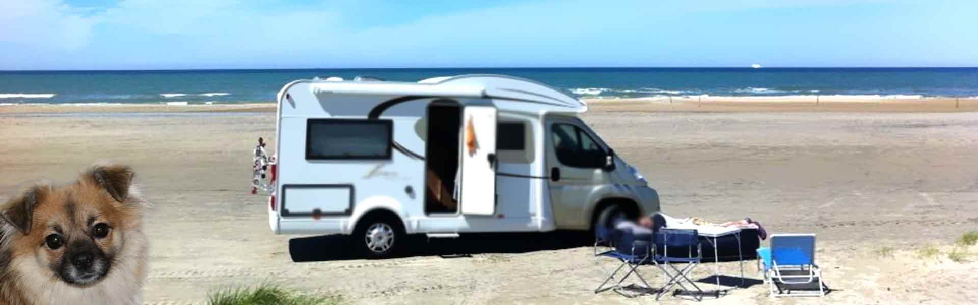 5 Ideale Campingpltze An Der Ostsee Mit Hund Caravan Und Co