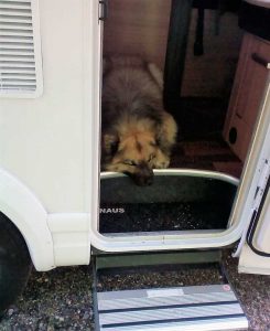 Wohnmobil mieten mit Hund Bayern München